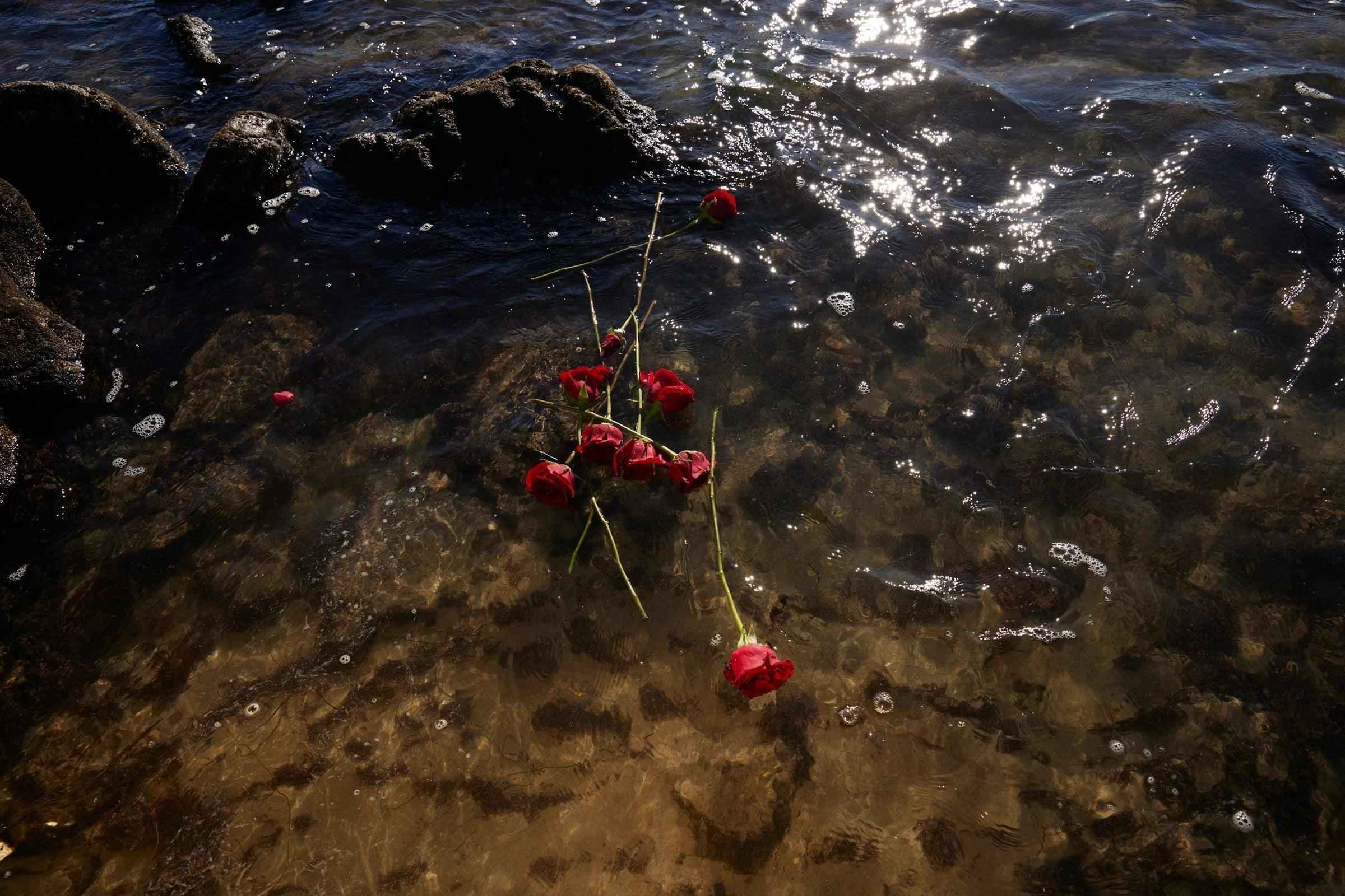 The Timeless Elegance of Pure Rose Water: A Gift from Nature - NamoMonk