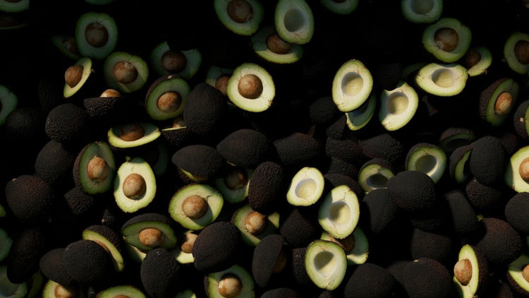 Avocado