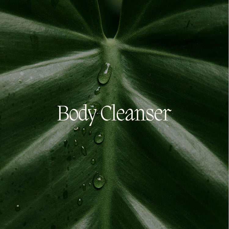 Body Cleanser - NamoMonk